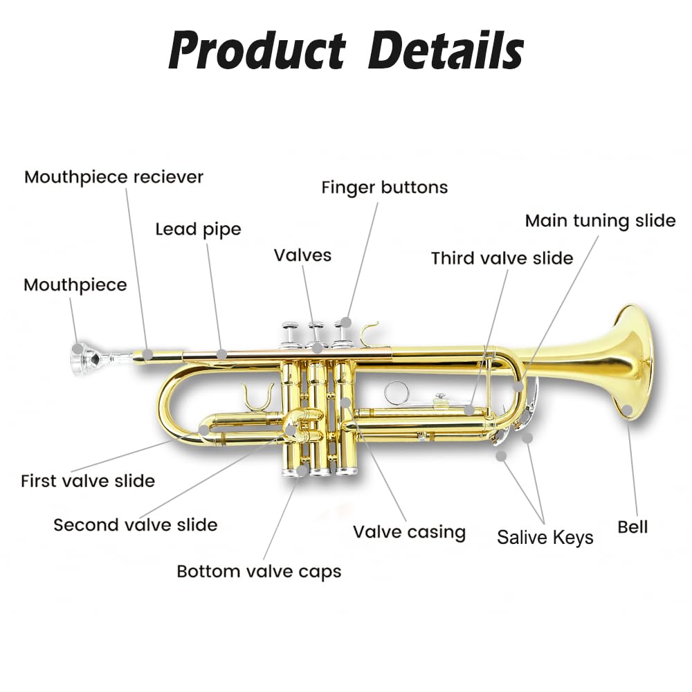 Bb Trumpet Standard Kit with Carrying Case 7C Mouthpiece Clean Cloth Gloves Brass Instrument U8006