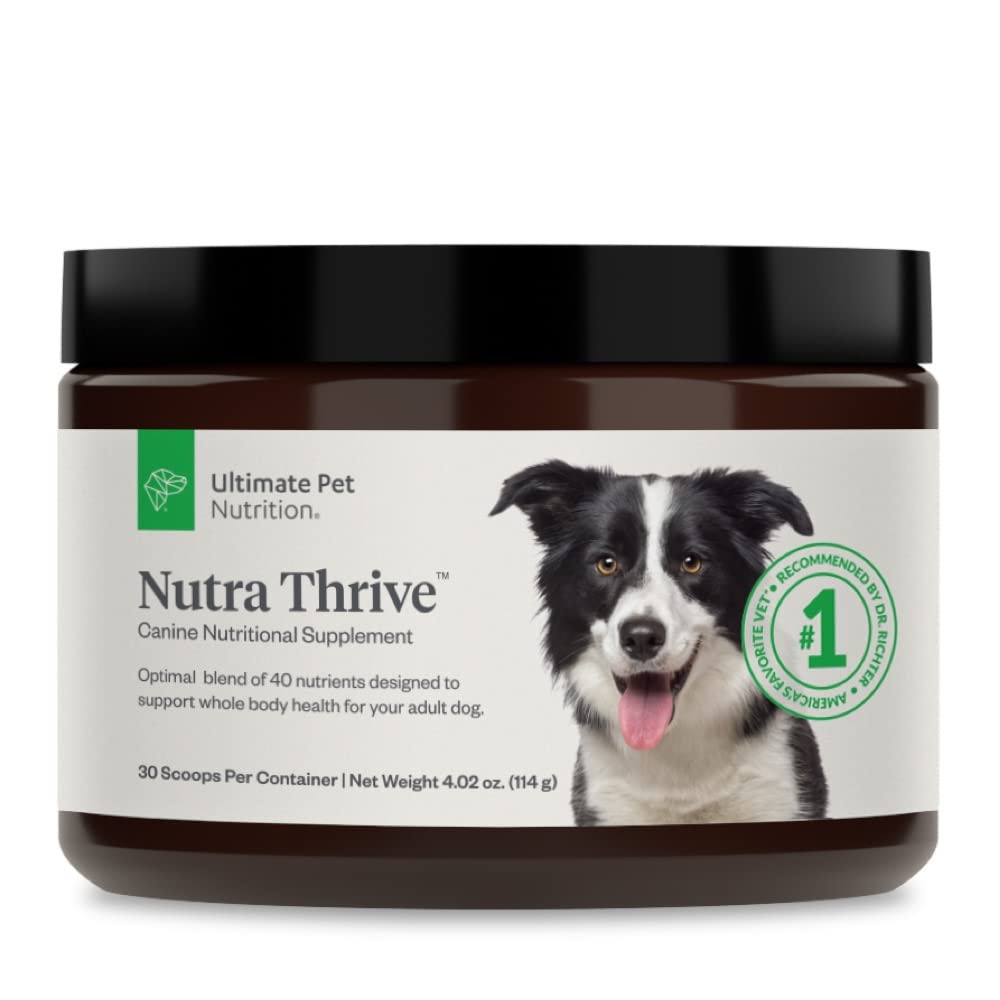 40-in-1 Nutritional Powder Supplement for Dogs S29169