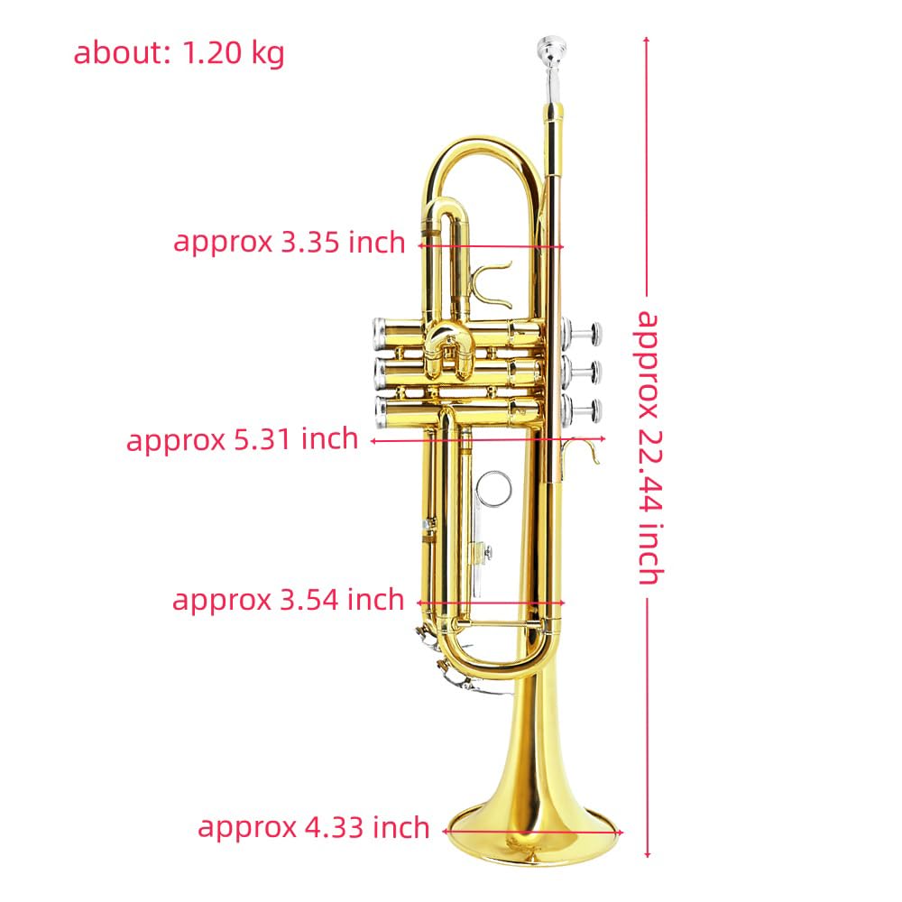 Bb Trumpet Standard Kit with Carrying Case 7C Mouthpiece Clean Cloth Gloves Brass Instrument U8006