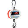 300lb Capacity Crane Scale C60251