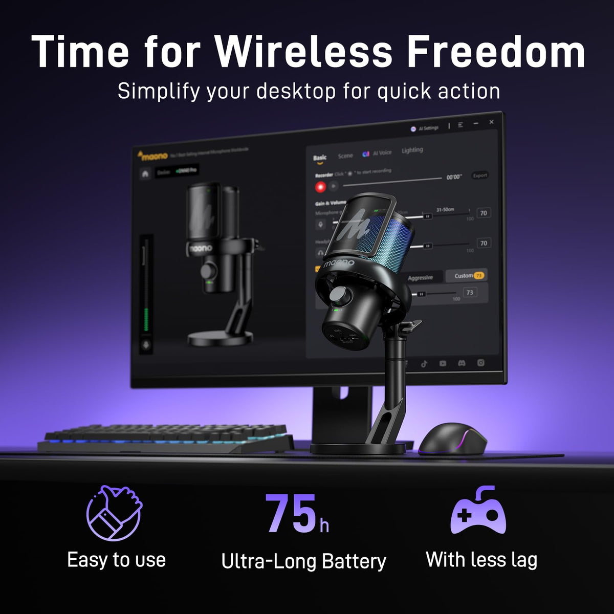 Wireless USB Gaming Microphone F117