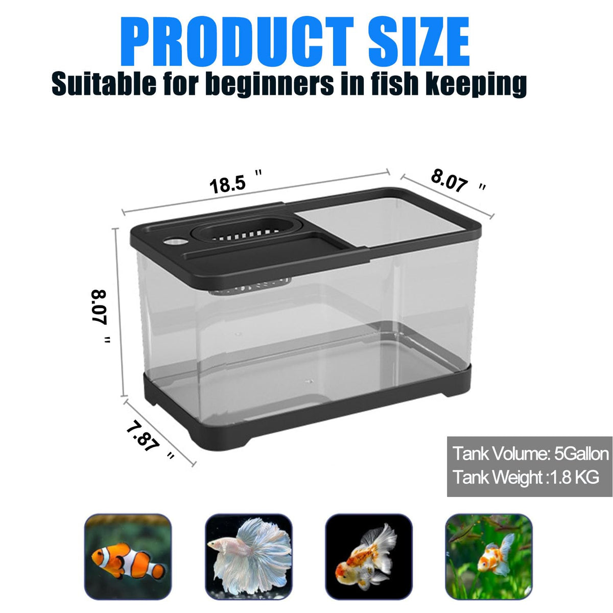5 Gallon Plastic Aquarium Starter Kit with Filter and LED Light N555