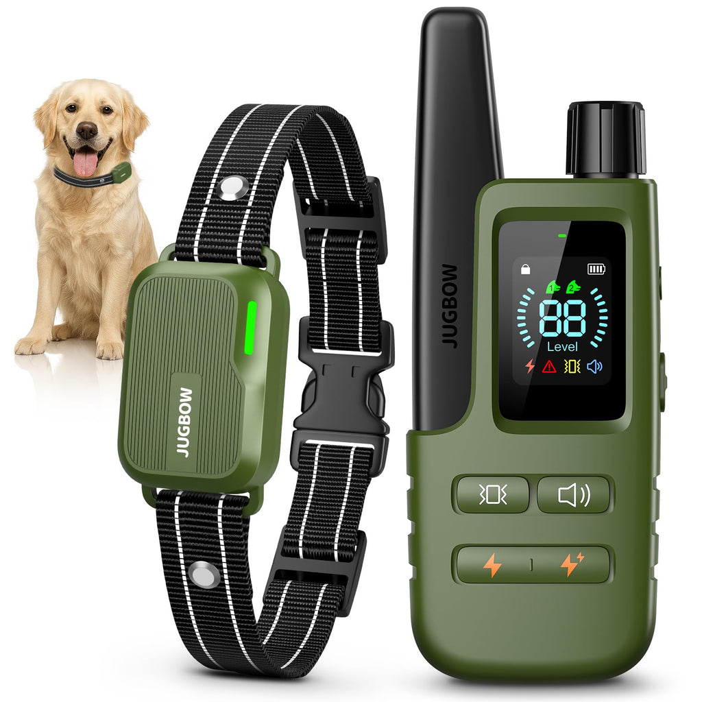 Dog Training Collar with Remote J2107