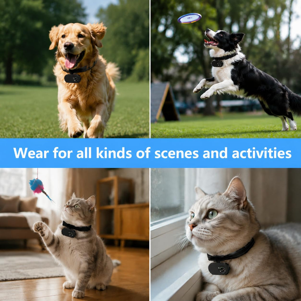1080P Wireless Mini Pet Camera Collar G24499