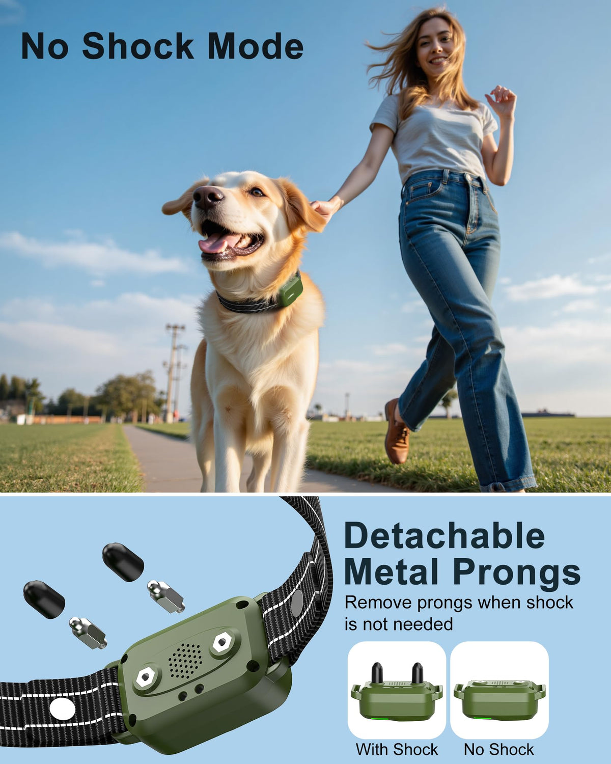 Dog Training Collar with Remote J2107