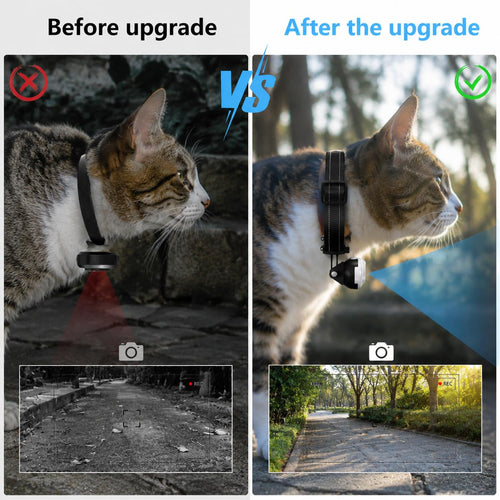 1080P Wireless Mini Pet Camera Collar G24499