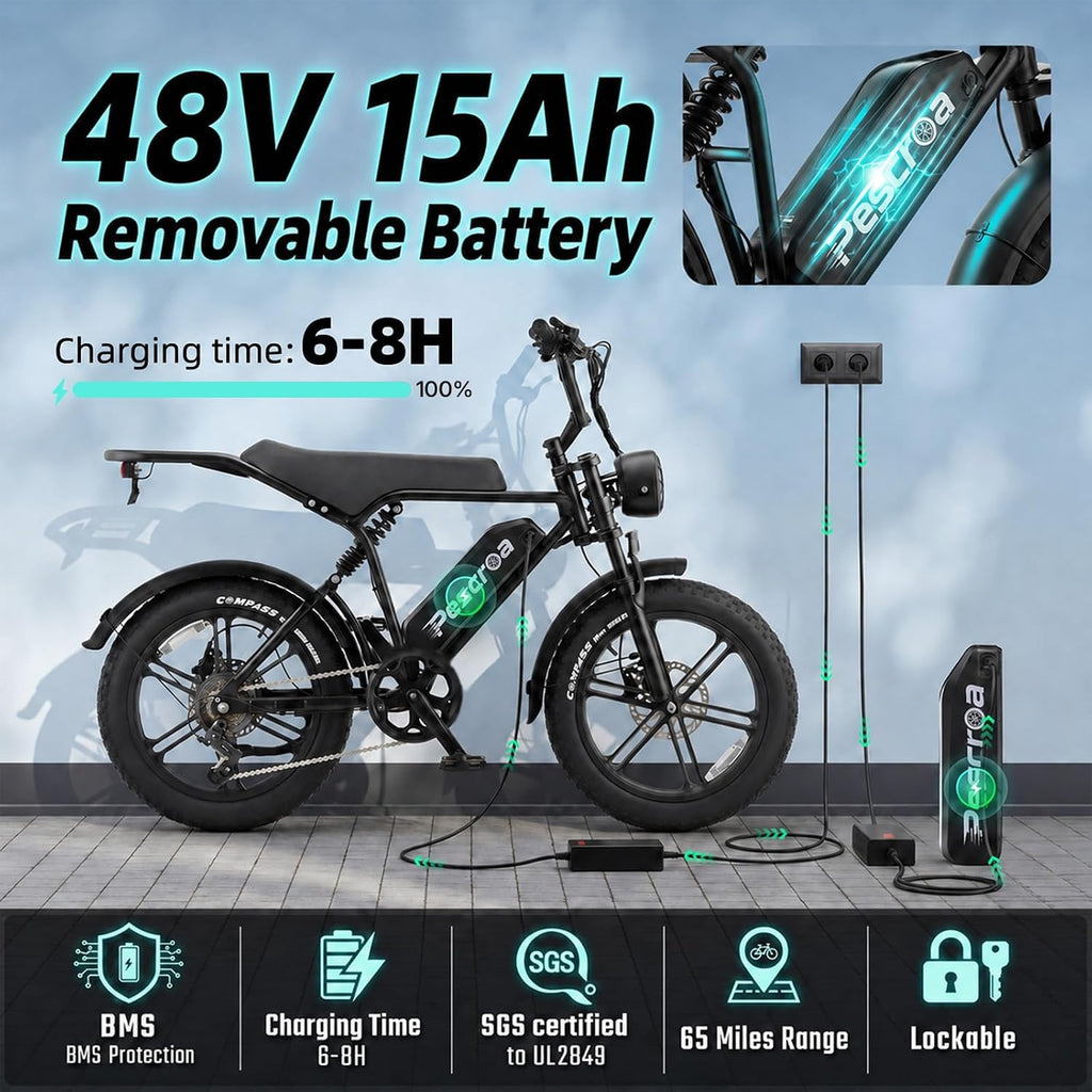 1500W Peak 20" Fat Tire Electric Bike H2436