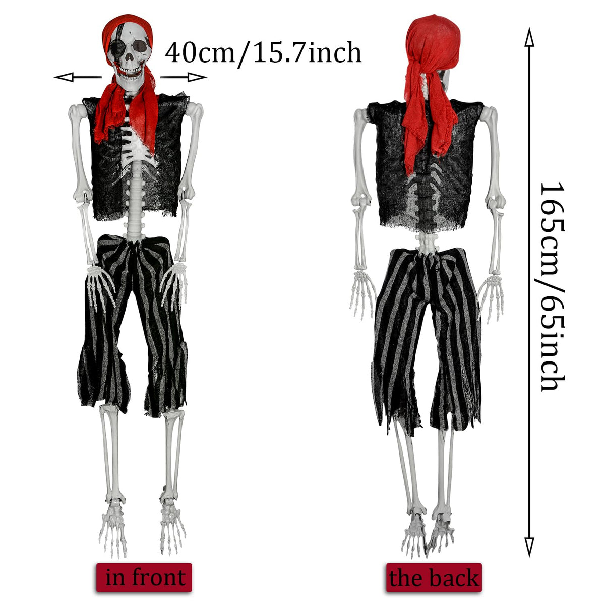 Life Size Pirate Skeleton with Movable Joints B714