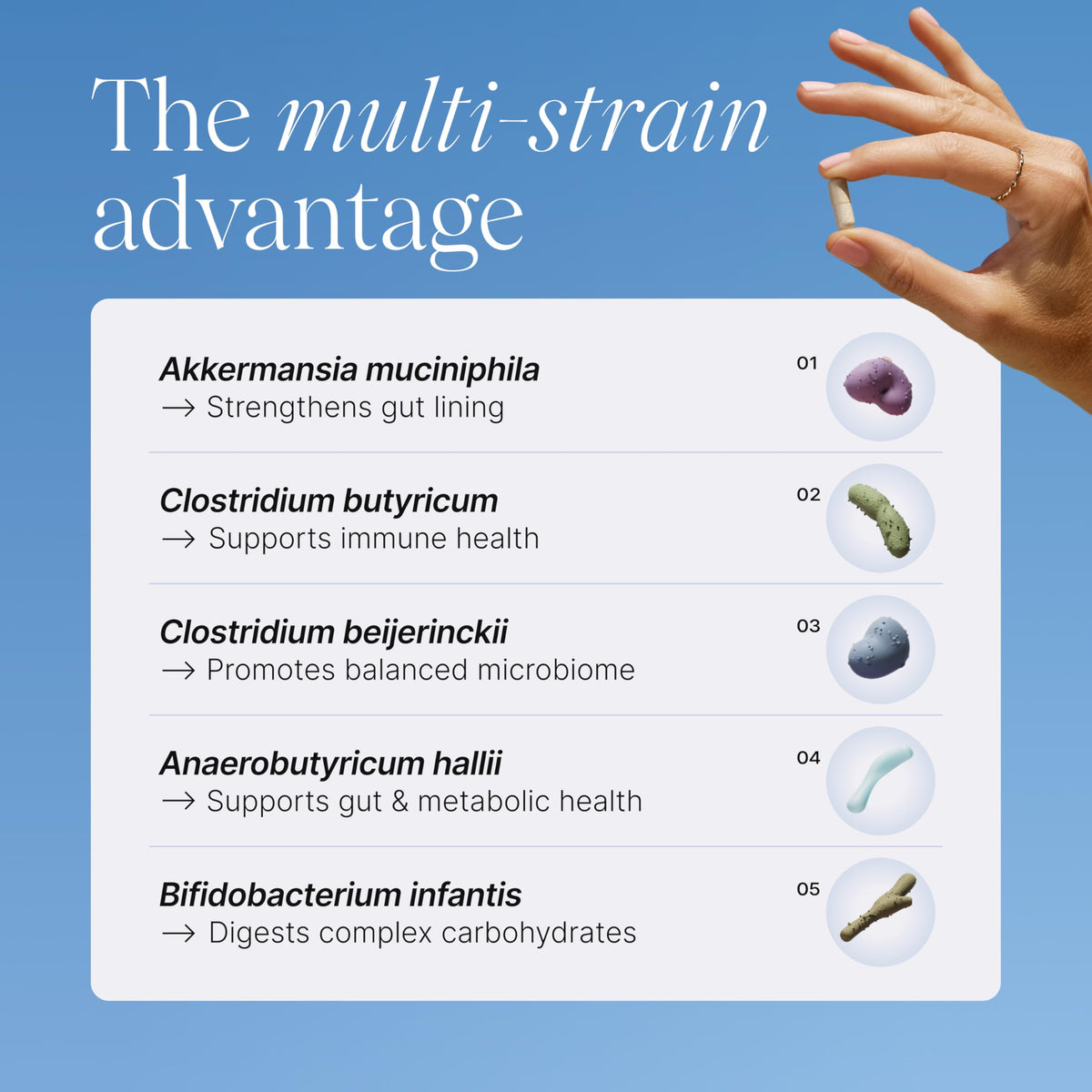 Multi-Strain Probiotic with Akkermansia muciniphila 30 Capsules T886307
