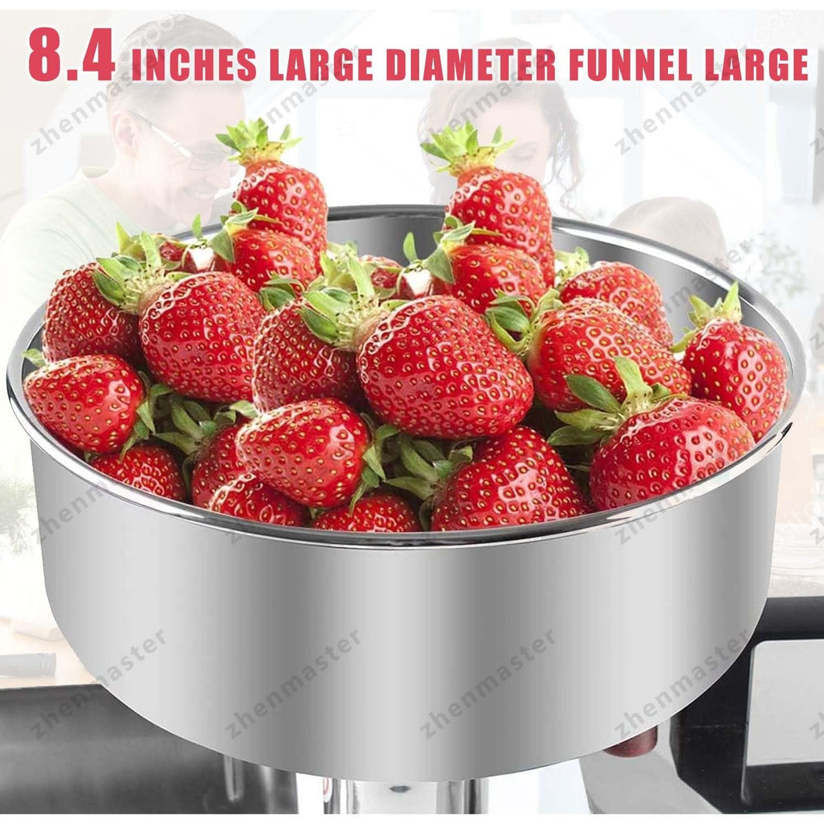 450W Stainless Steel Electric Tomato Strainer J44979