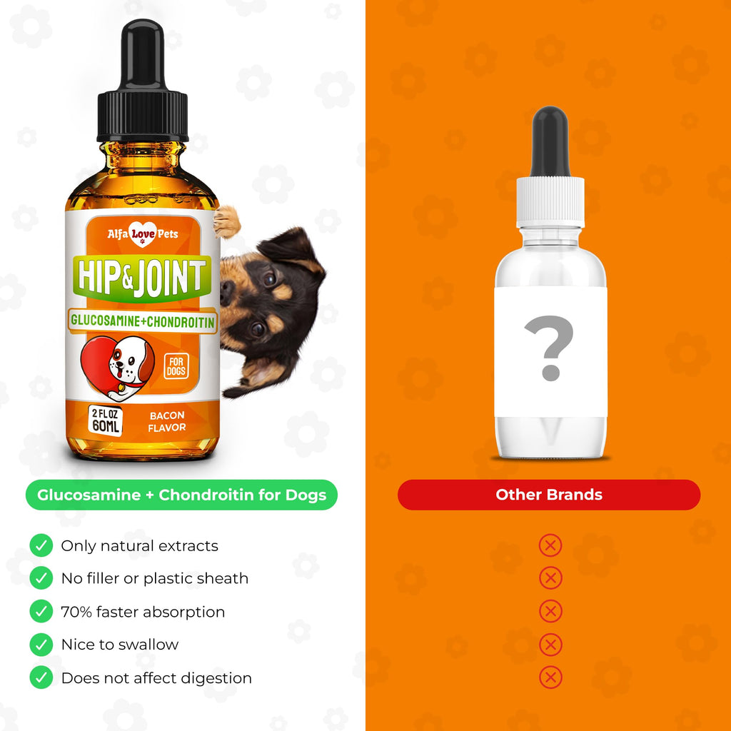 Liquid Glucosamine Chondroitin Dog Supplement 2 oz P851