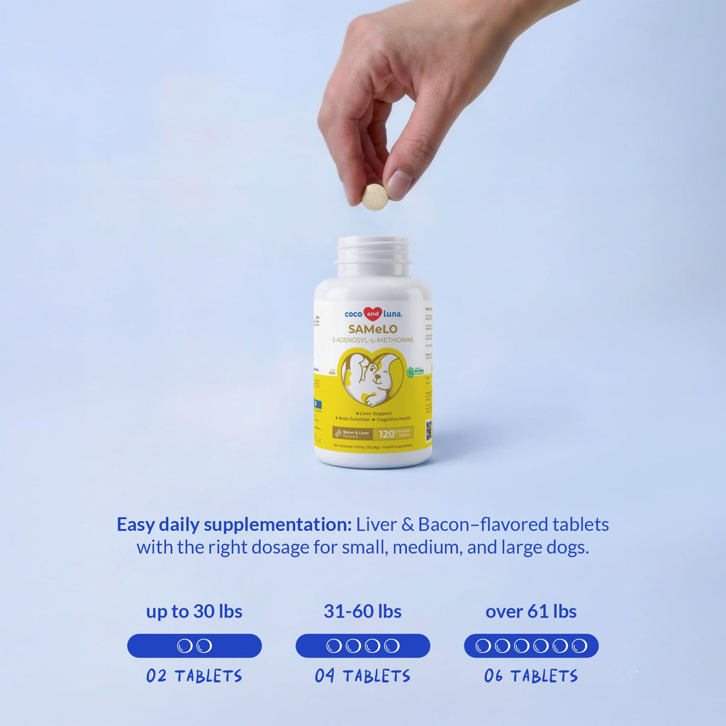 120 Tablets Liver Supplement H416680