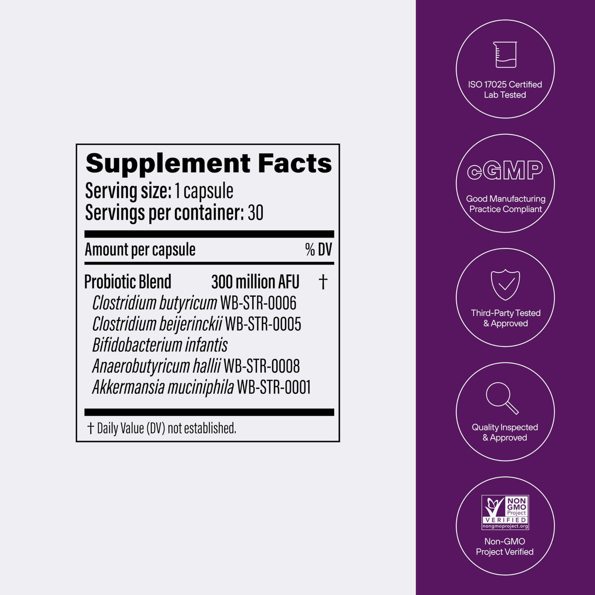 Multi-Strain Probiotic with Akkermansia muciniphila 30 Capsules T886307