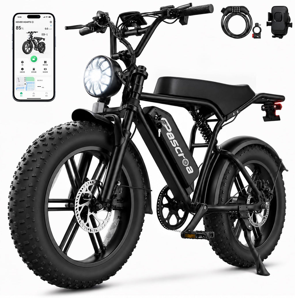 1500W Peak 20" Fat Tire Electric Bike H2436