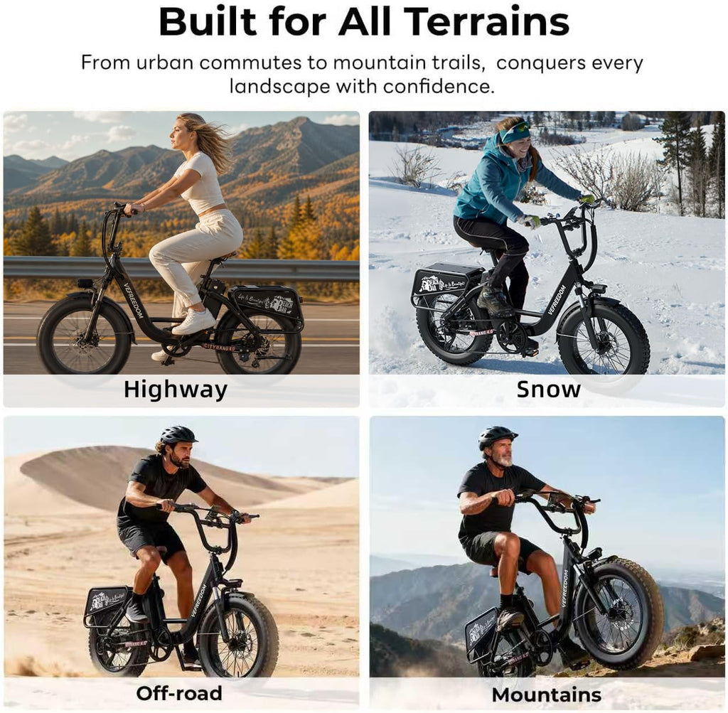 Electric Bike with 1500W Motor 48V 20Ah Battery 20" Fat Tire 7-Speed Q710