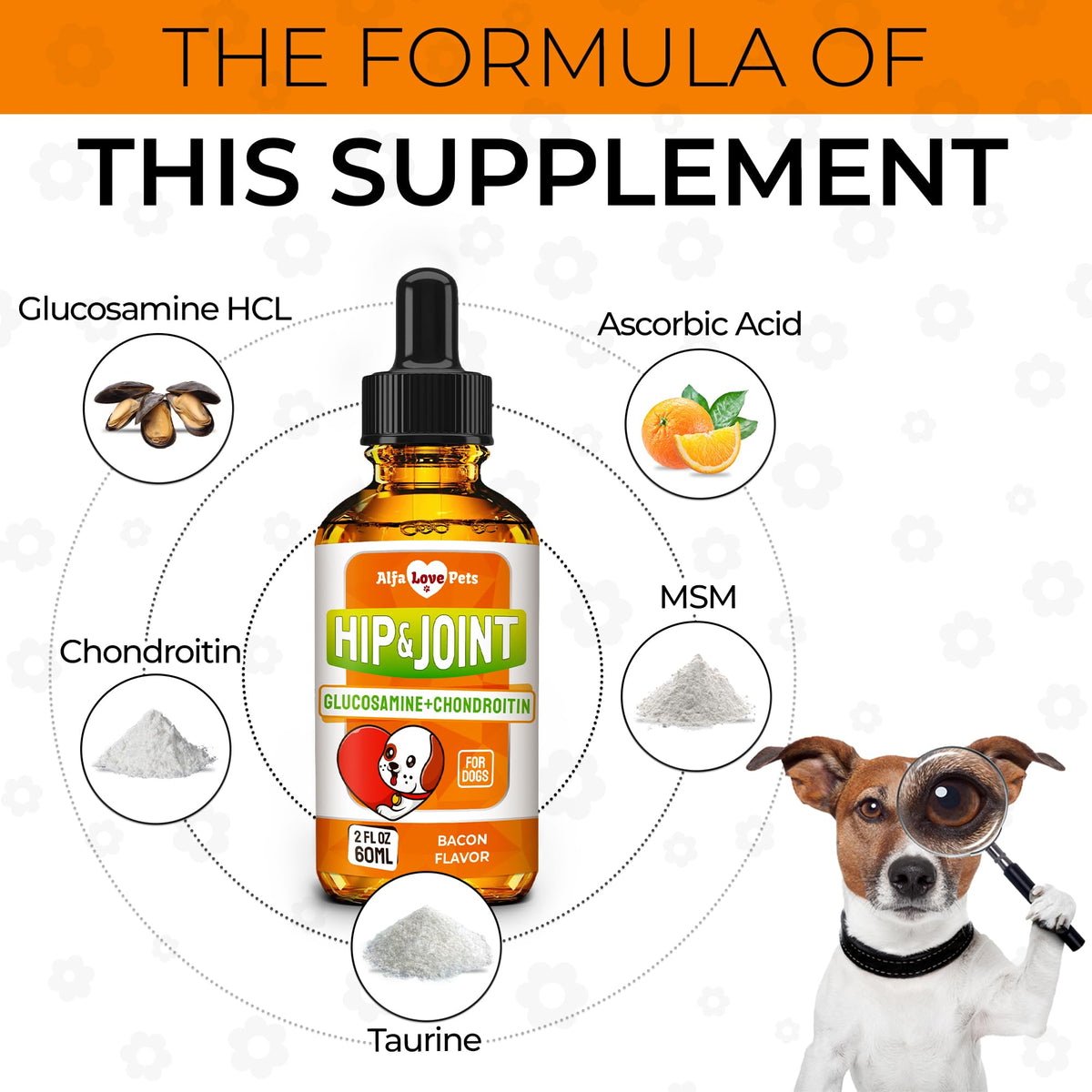 Liquid Glucosamine Chondroitin Dog Supplement 2 oz P851