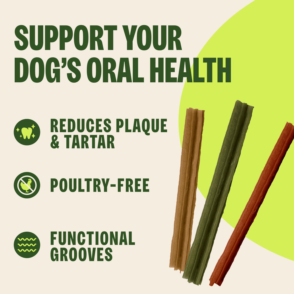 Natural Dog Dental Treat Chews Small Size Sticks 14.81 oz Bag 28 Count O39159
