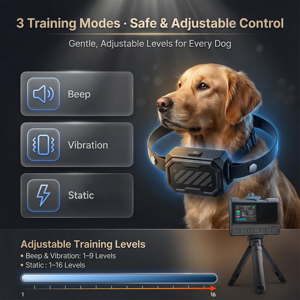 Wireless Dog Fence with Waterproof Collar, Up to 1 Acre V157797
