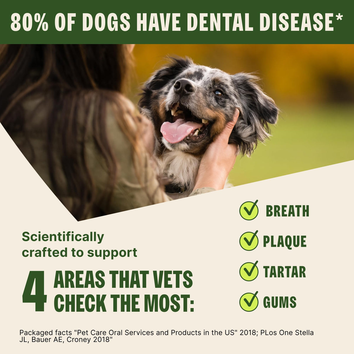Natural Dog Dental Treat Chews Small Size Sticks 14.81 oz Bag 28 Count O39159