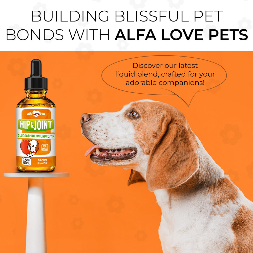 Liquid Glucosamine Chondroitin Dog Supplement 2 oz P851