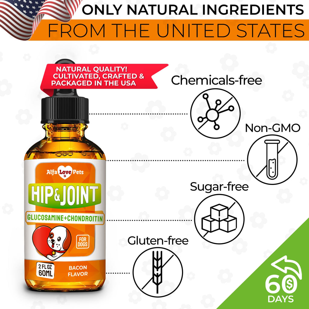 Liquid Glucosamine Chondroitin Dog Supplement 2 oz P851