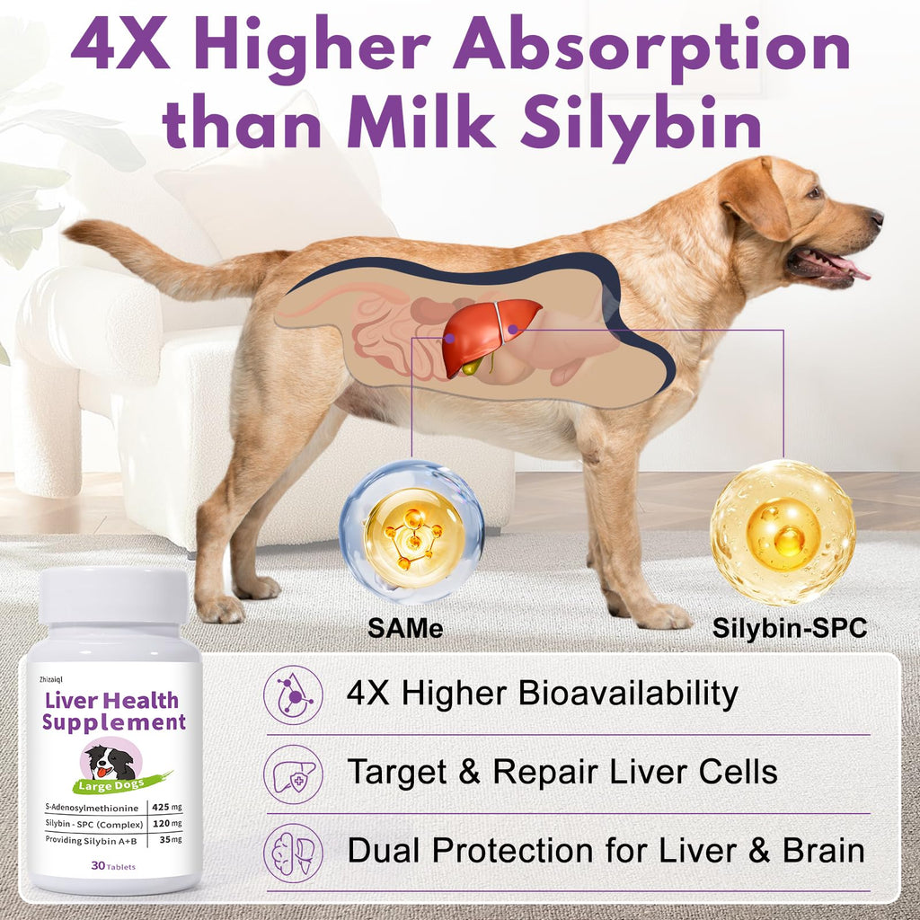 Large Dog Liver Support with 425 mg S-Adenosylmethionine & Silybin A+B, 30 Tablets L15068