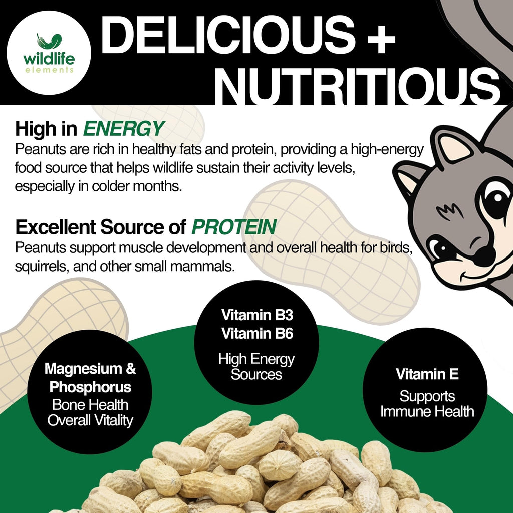 Raw In-Shell Peanuts Wildlife Food 25lb K419