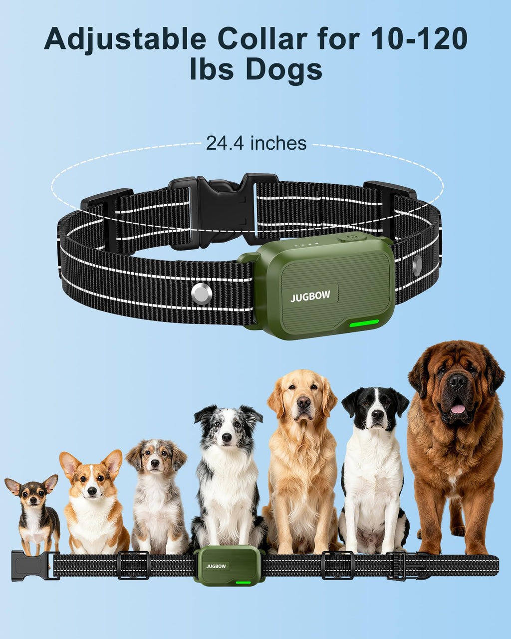 Dog Training Collar with Remote J2107