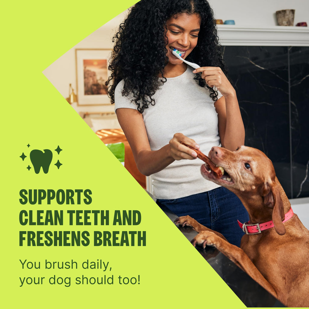 Natural Dog Dental Treat Chews Small Size Sticks 14.81 oz Bag 28 Count O39159