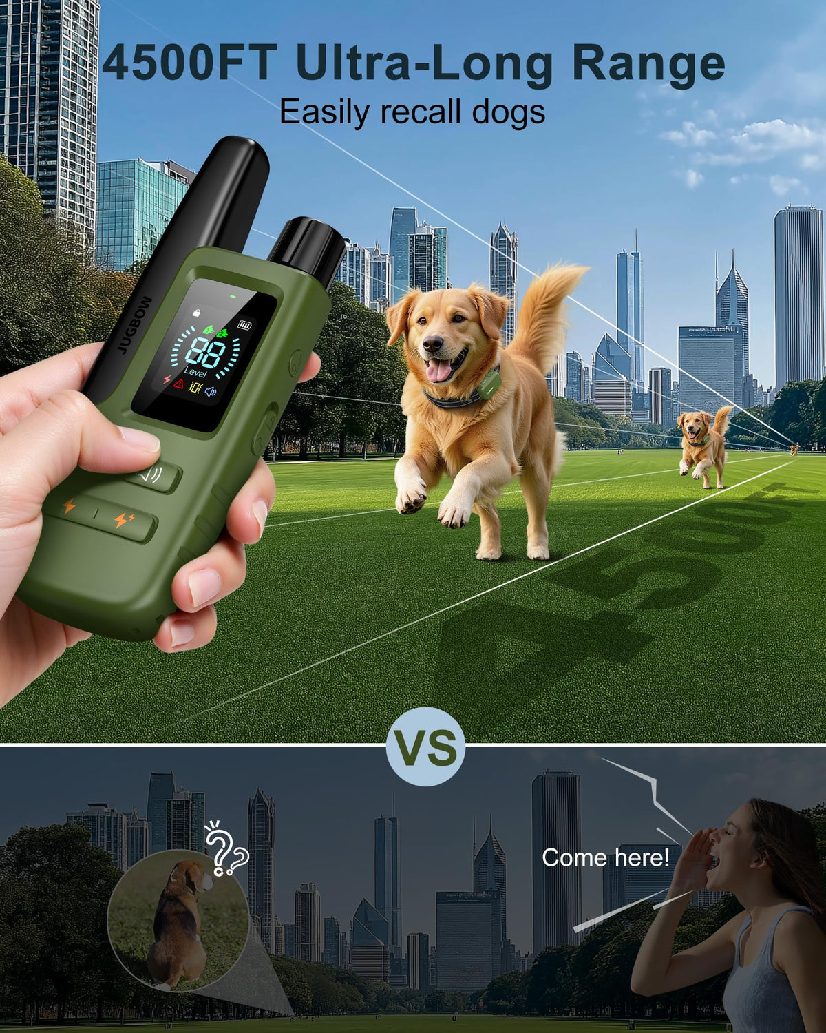 Dog Training Collar with Remote J2107