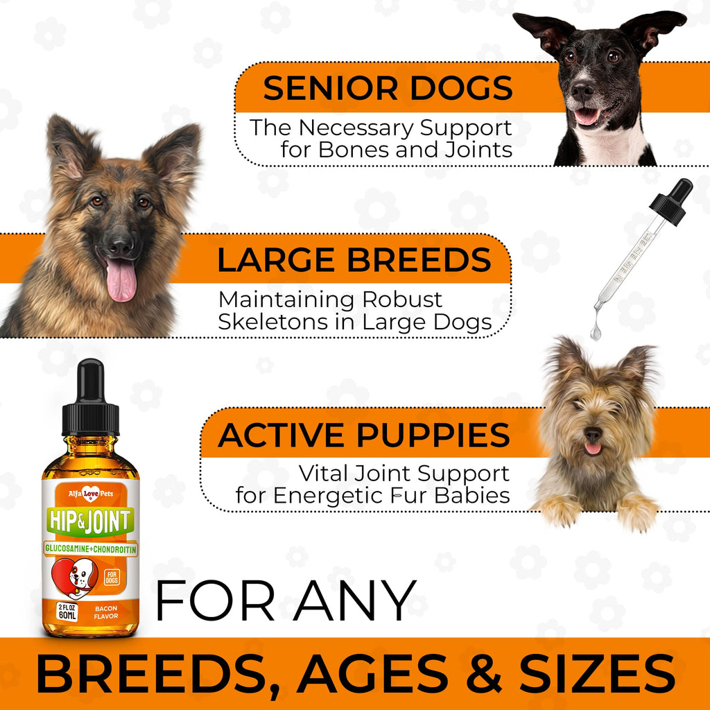 Liquid Glucosamine Chondroitin Dog Supplement 2 oz P851