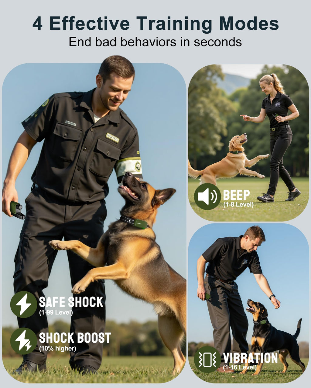Dog Training Collar with Remote J2107