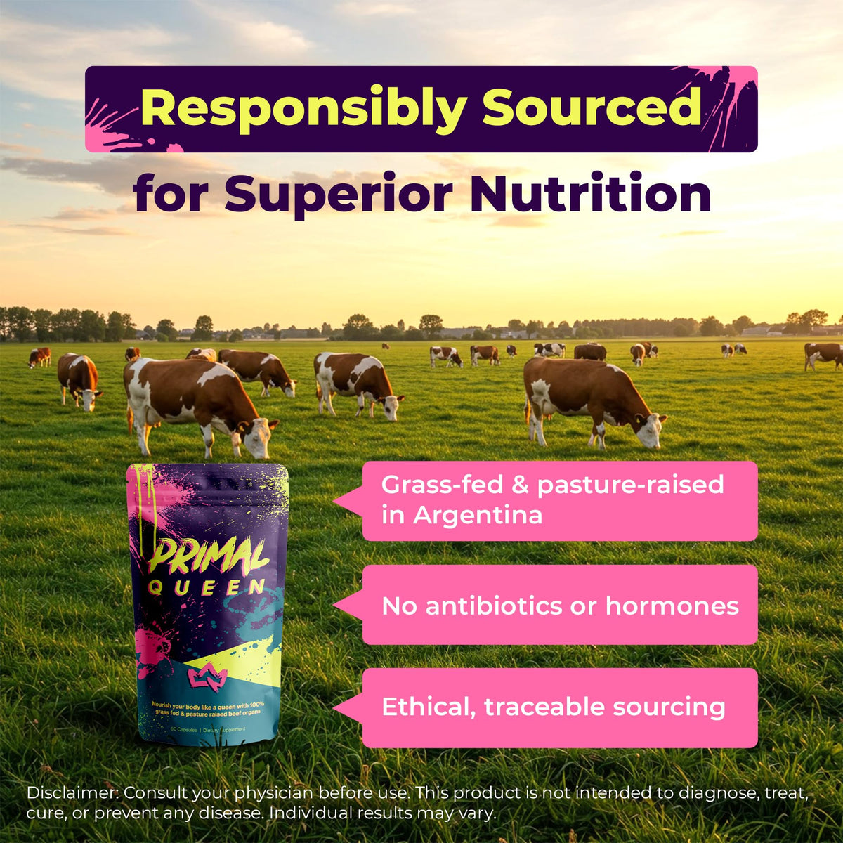 Grass Fed Beef Organ Supplement, 60 Capsules A10326