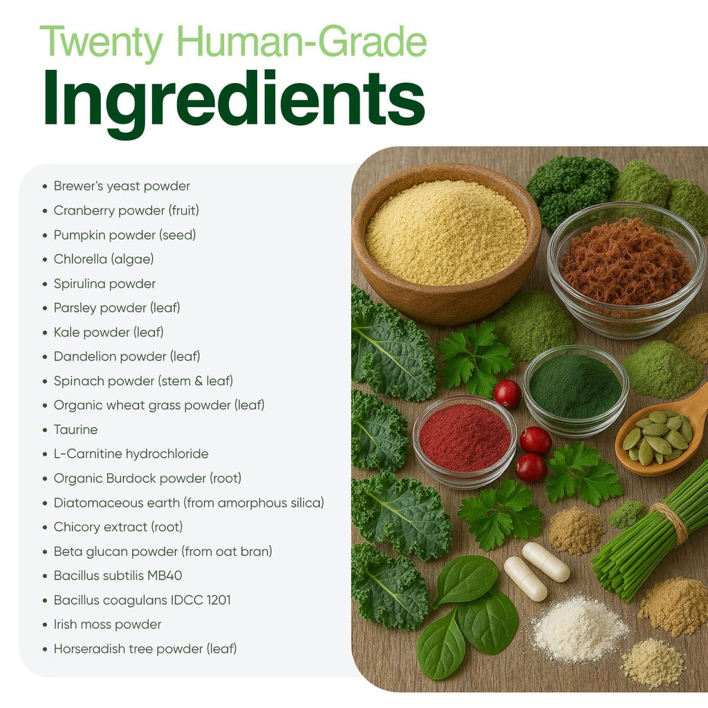 Greens Powder Supplement 3.5 oz Q823