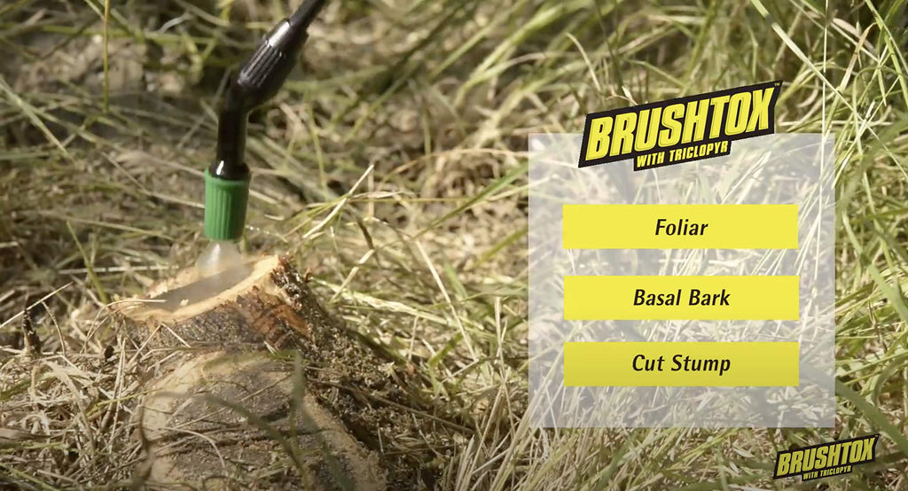 64oz Brush Killer with Triclopyr F84069