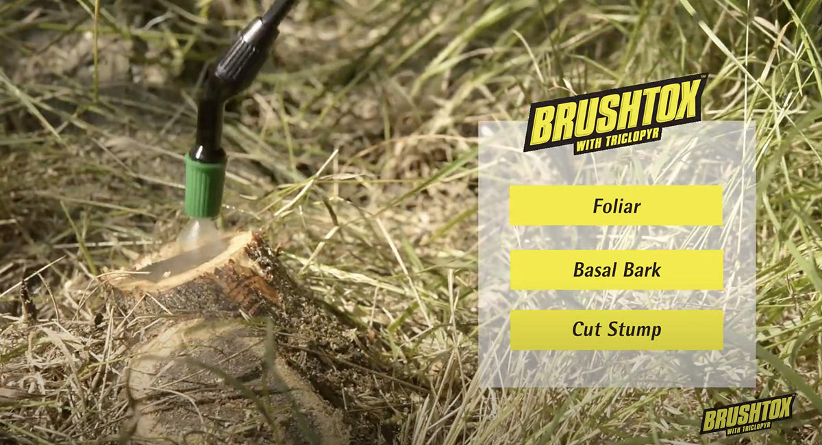 64oz Brush Killer with Triclopyr F84069
