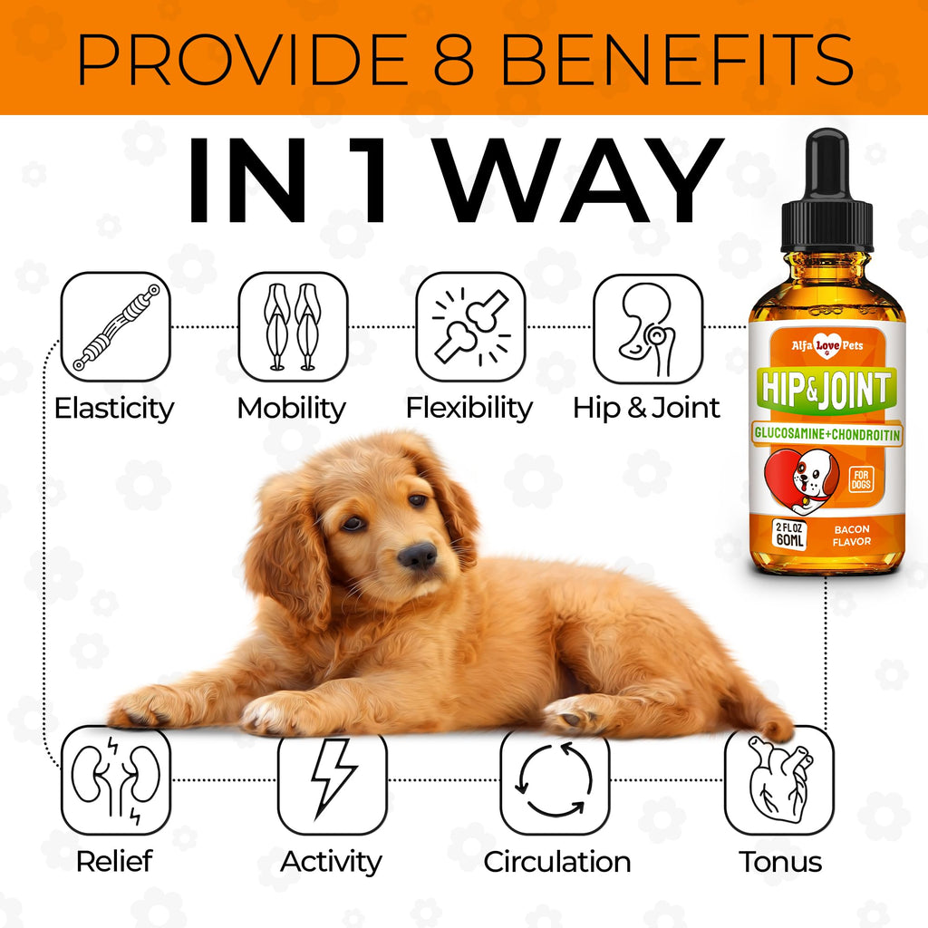 Liquid Glucosamine Chondroitin Dog Supplement 2 oz P851